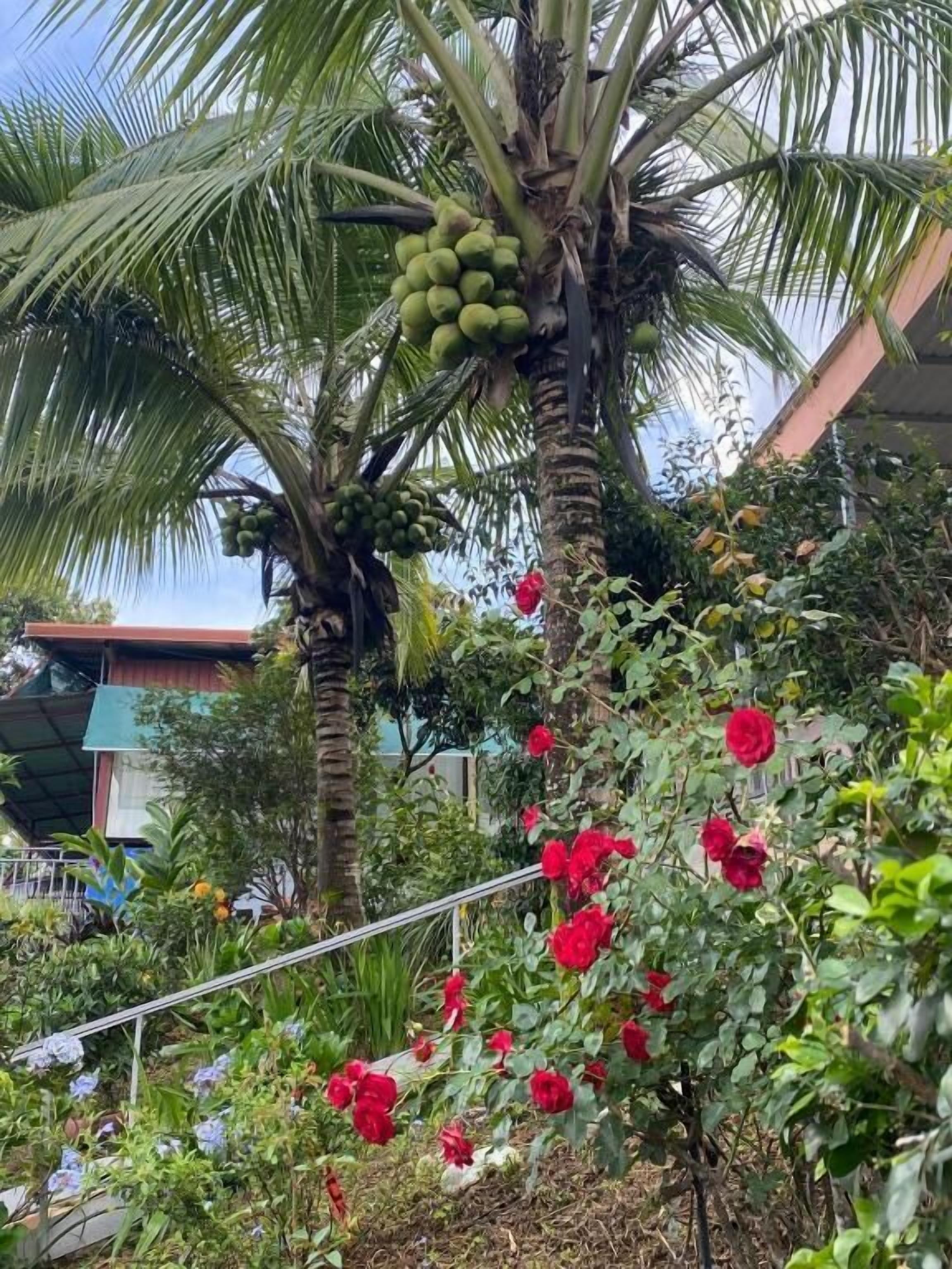 Premium bedding, down comforters, Select Comfort beds, free WiFi