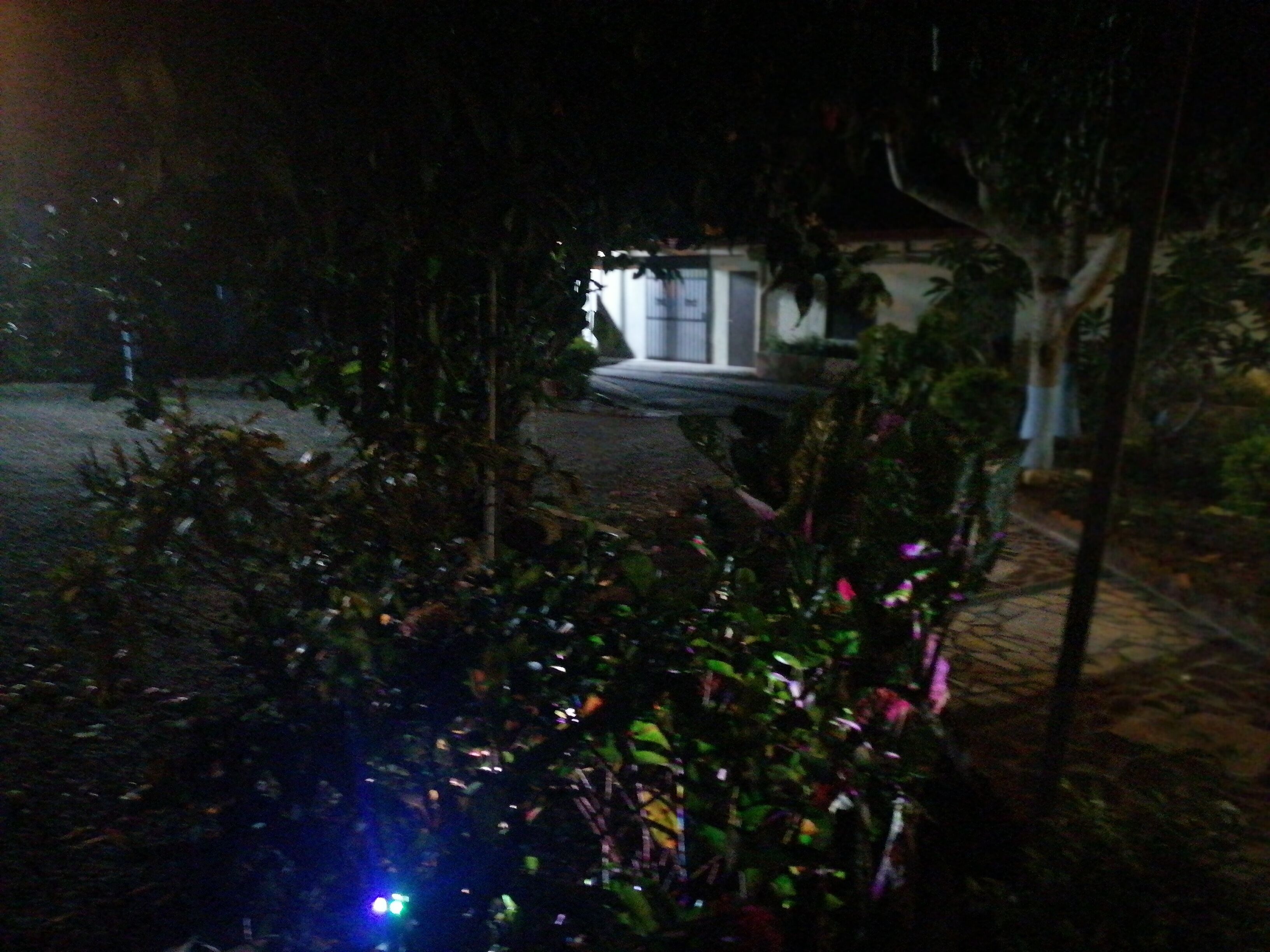 A nighttime view of a residential area with a house in the background.