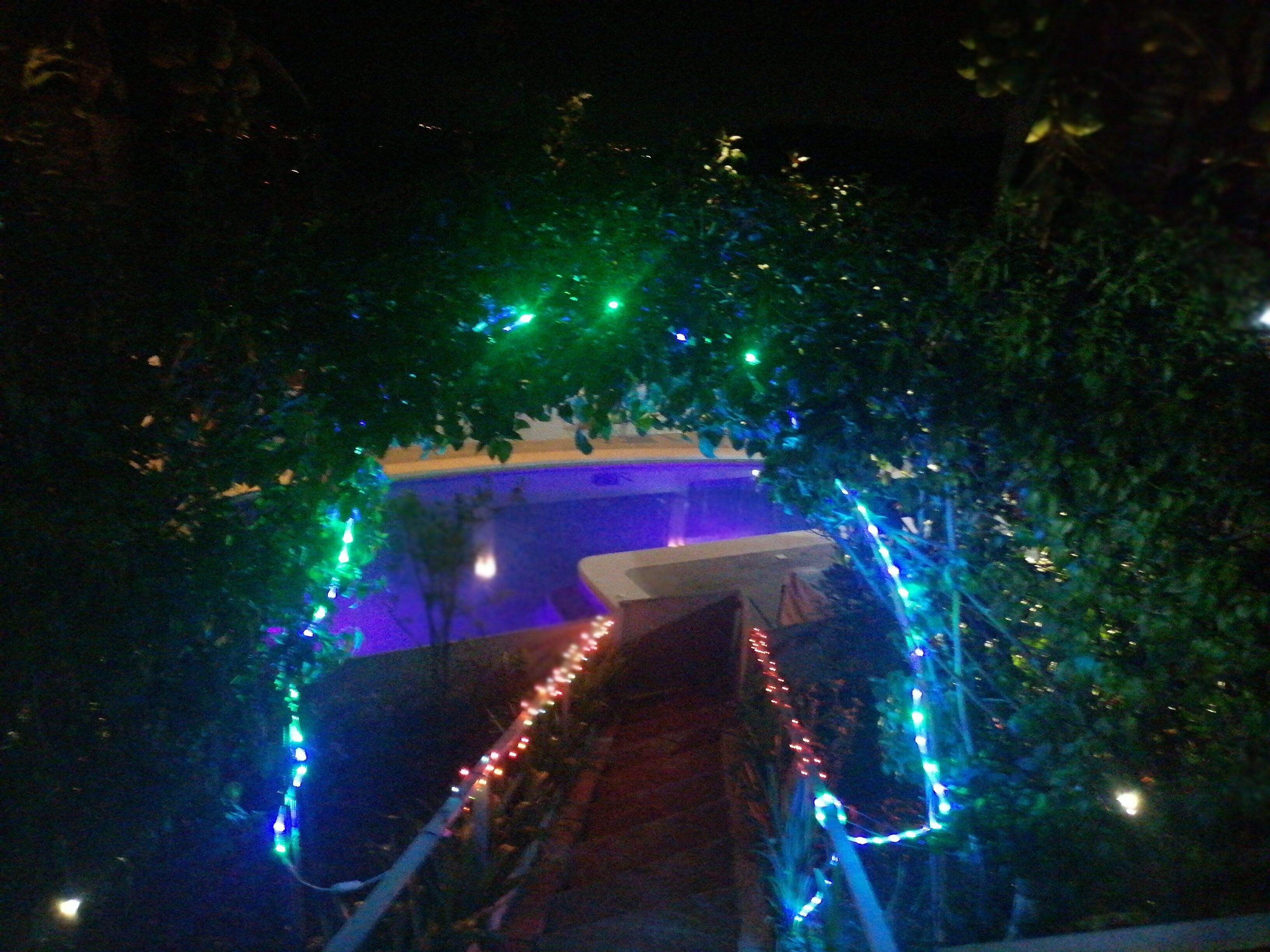 Un chemin bordé de guirlandes lumineuses menant à un bâtiment.