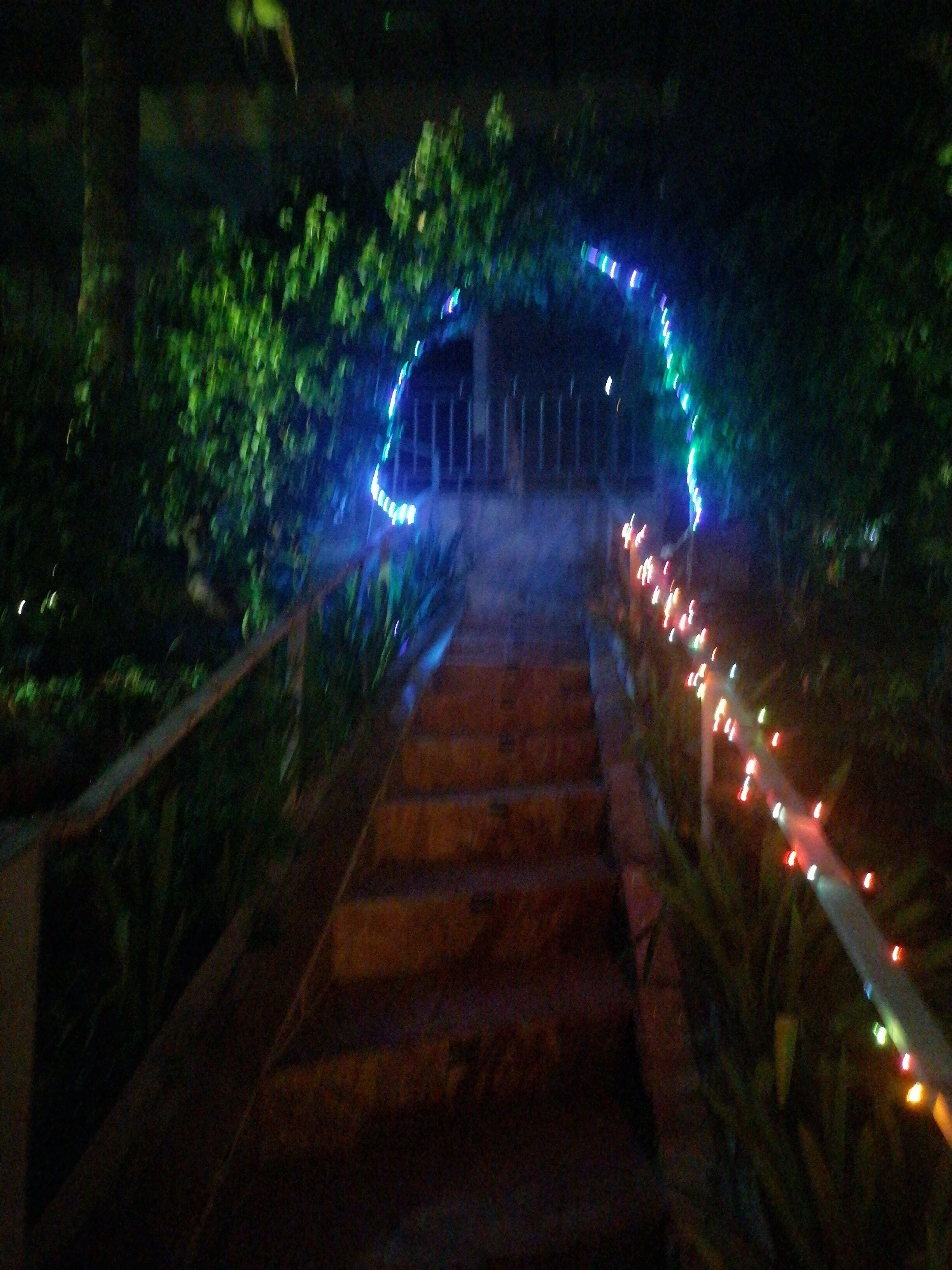 A staircase with a railing, surrounded by greenery and illuminated by string lights.
