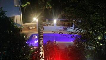 A nighttime view of a swimming pool area with a palm tree and surrounding foliage.
