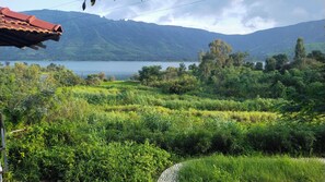 Property grounds - THE WAI HILLS - MTDC Approved  (Wai)