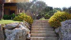 Un escalier en pierre mène à un bâtiment à la façade jaune, entouré de verdure et d’arbustes à fleurs jaunes.