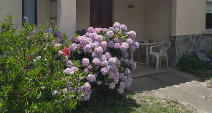 Cómoda casa en Piriapolis p/4 personas a 4 cuadras de la playa y a 1 de un super