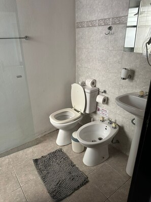 Shower, hair dryer, bidet, towels
