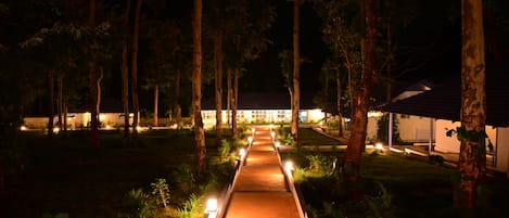 A pathway leading to a building surrounded by trees, with lights along the path.