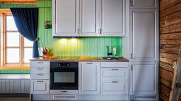 Full-sized fridge, microwave, oven, dishwasher