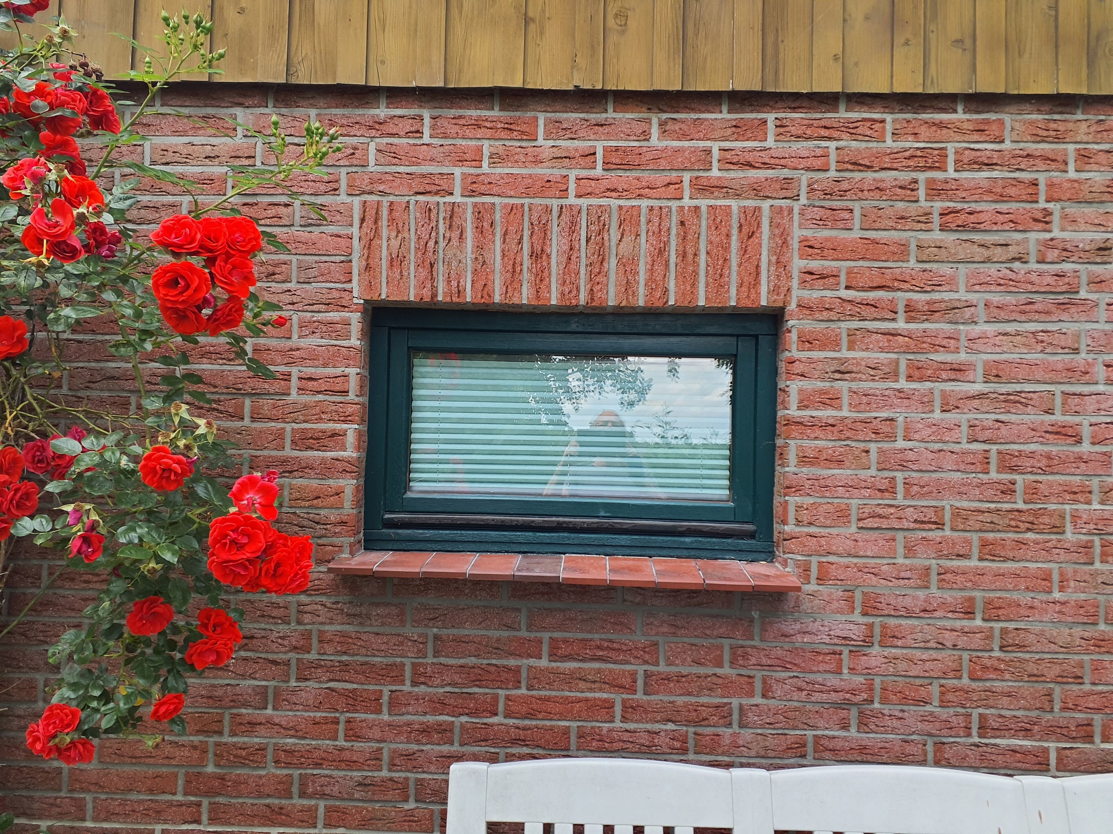 Ihr Küchenfenster zum Vorgarten neben dem Caravan.