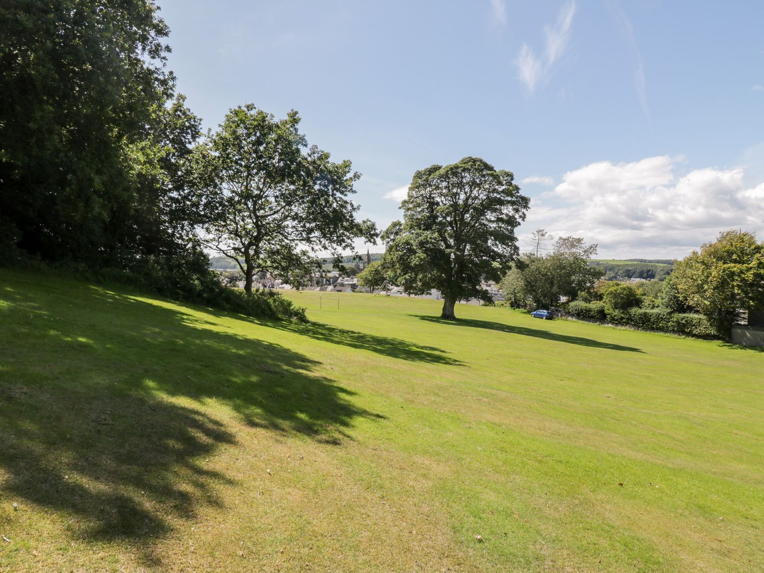 A grassy field with two large trees and a distant view of buildings.
