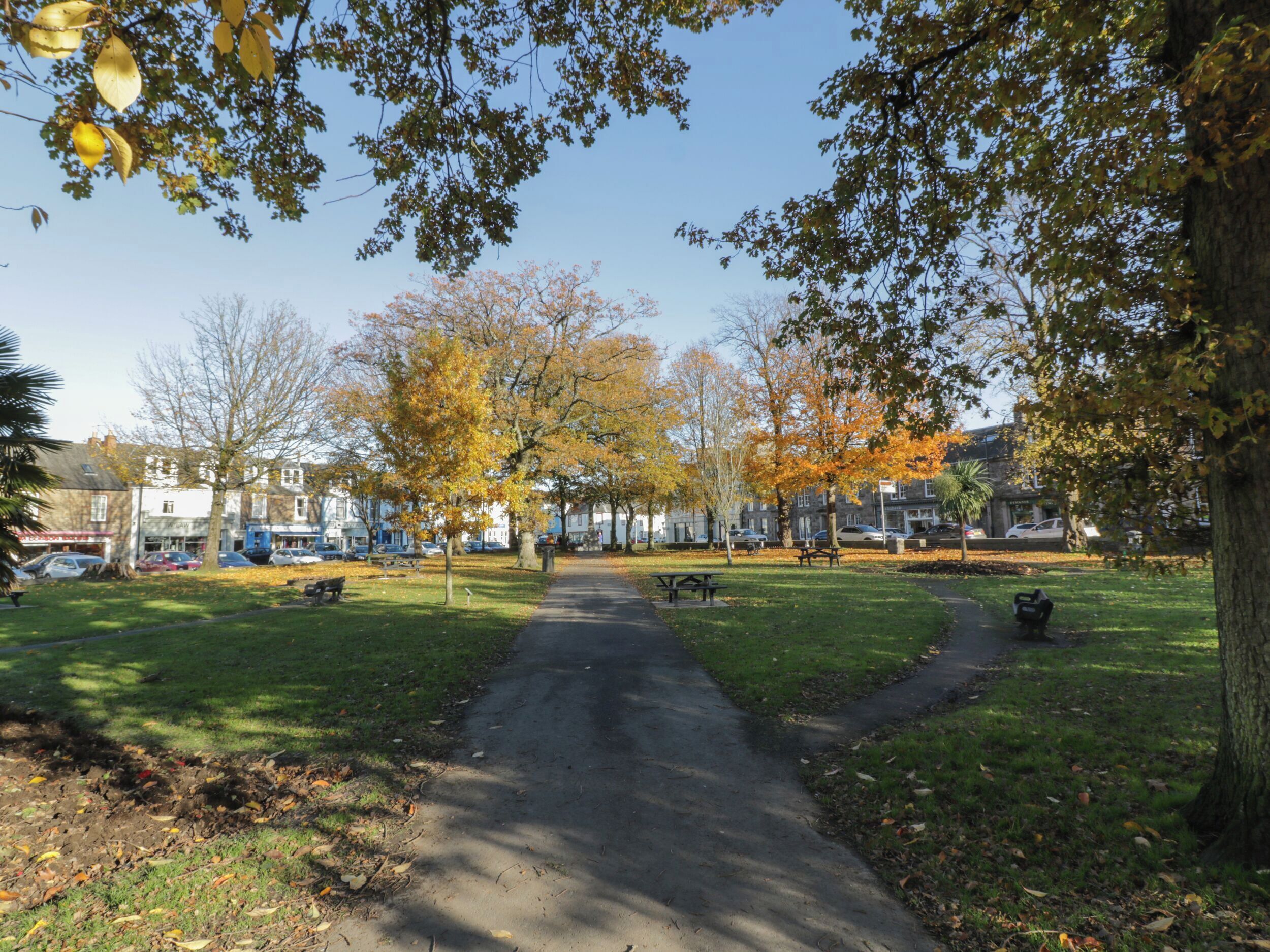 A park pathway with benches, trees, and a clear sky.