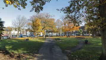A park pathway with benches, trees, and a clear sky.