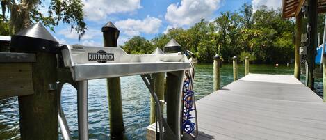 A dock with a metal railing, a wooden walkway, and a water body with trees in the background.