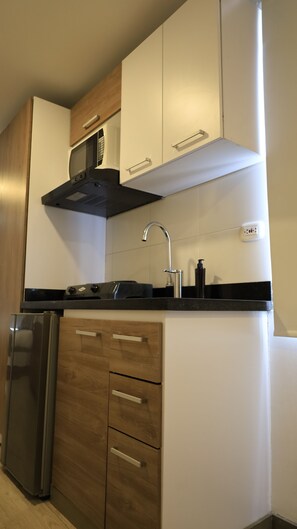 Premium Apartment | Private kitchen | Fridge, microwave, cookware/dishes/utensils