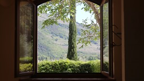 Een raam met een open uitzicht op een bergachtig landschap, inclusief een opvallende boom en weelderige begroeiing.