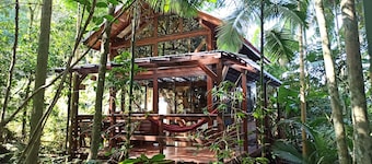Casa Juçara Floripa | Hidden treasure in the jungle – Nature stay