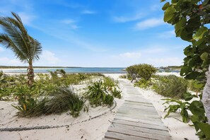 A wooden pathway leading to a beach with palm trees and shrubs.