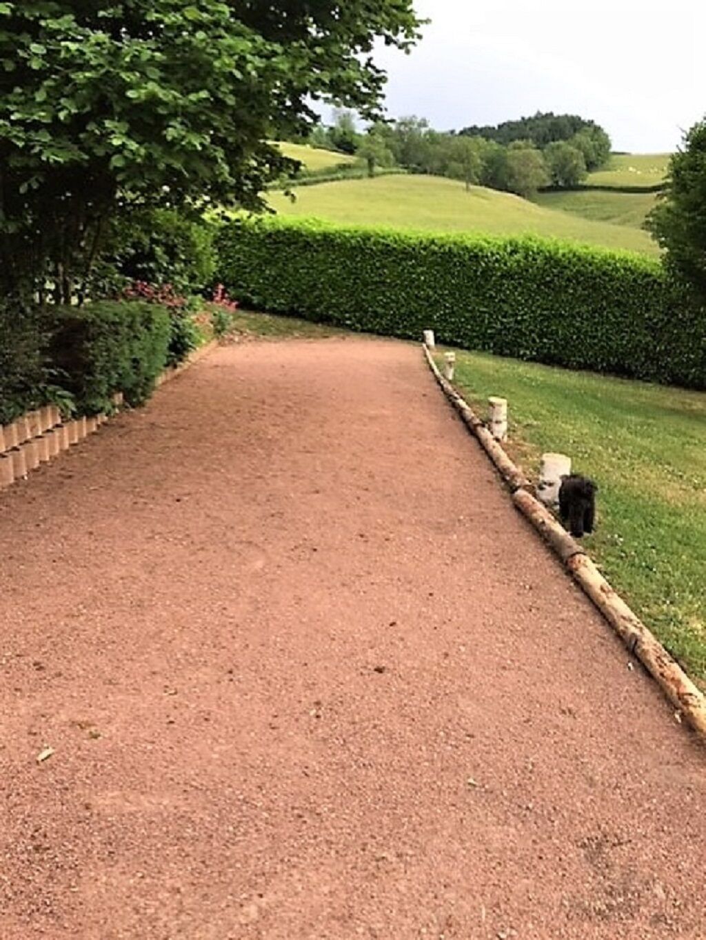 Un camino de grava serpentea por un jardín arbolado, con setos y árboles.