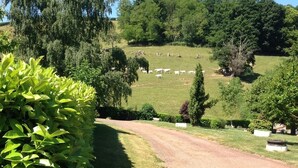 Un paysage rural avec un chemin de gravier menant à un champ herbeux où paissent des moutons.