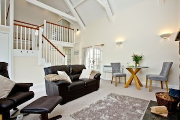 Smart TV, fireplace, books