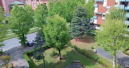 The Artist in Turin - A Short Walk from the Center