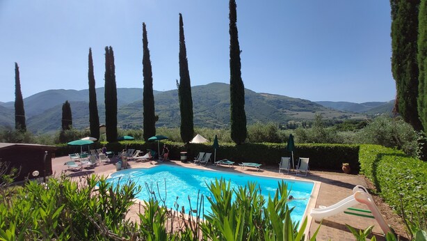 Una piscina con sillones y sombrillas, rodeada de altos cipreses y un paisaje montañoso.