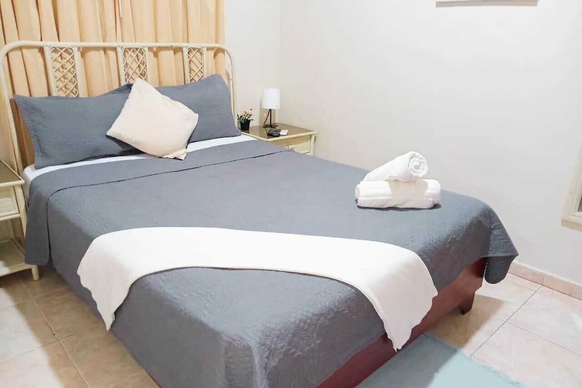 A neatly made bed with a grey bedspread and white pillows, a bedside table with a lamp, and a small plant.