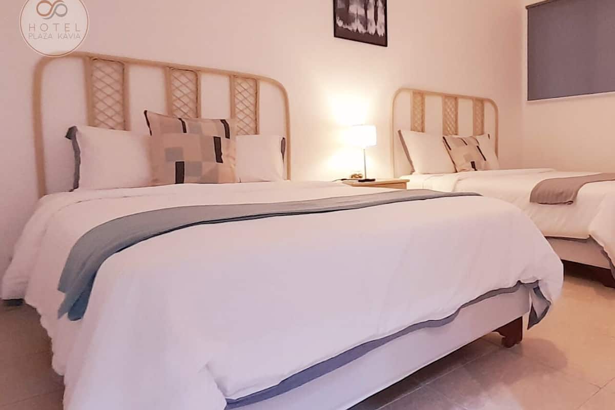 1 habitación y ropa de cama hipoalergénica