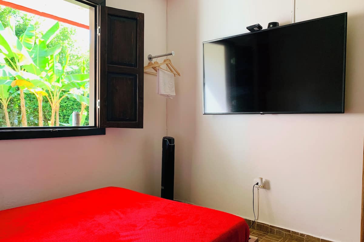 A room with a bed, a TV mounted on the wall, a window with a view of greenery, and a towel hanging on a rack.