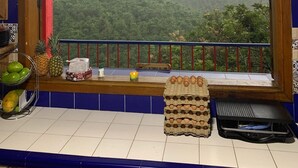 A kitchen with a window view of a forested area. - CALLE JARDIN FINCA HOTEL  (Armenia)