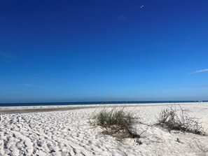 Playa en los alrededores y camastros