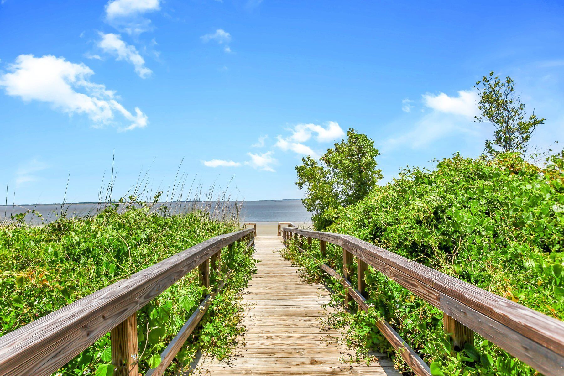 Une promenade en bois menant à une plage, entourée d’une végétation luxuriante.