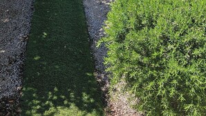 A landscaped garden with various plants and a gravel path. - Seclude charmy house with pool 200m from sea (Duboka)