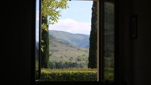Uma janela com vista para uma paisagem arborizada e montanhosa, sob um céu claro.