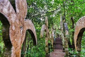 Property grounds - Villa Café y Arte - Xilitla Rainforest Experience (Xilitla)