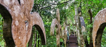 Villa Café y Arte - Xilitla Rainforest Experience