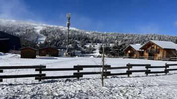 Sne- og skisport