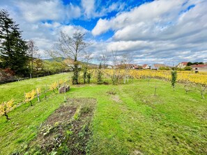 Property grounds - Gîte Cosy Entre Vignes et Vergers (Scherwiller)