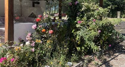 Cozy mountain retreat, great BBQ area! Pet friendly