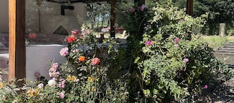 Cozy mountain retreat, great BBQ area! Pet friendly
