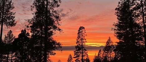 吹风机、毛巾、肥皂、洗发水