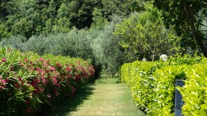 A pathway through a garden with neatly trimmed hedges and flowering shrubs. - COLLEOLIVO: Three-room apartment in farmhouse with swimming pool, Marmore Falls (Ferentillo)