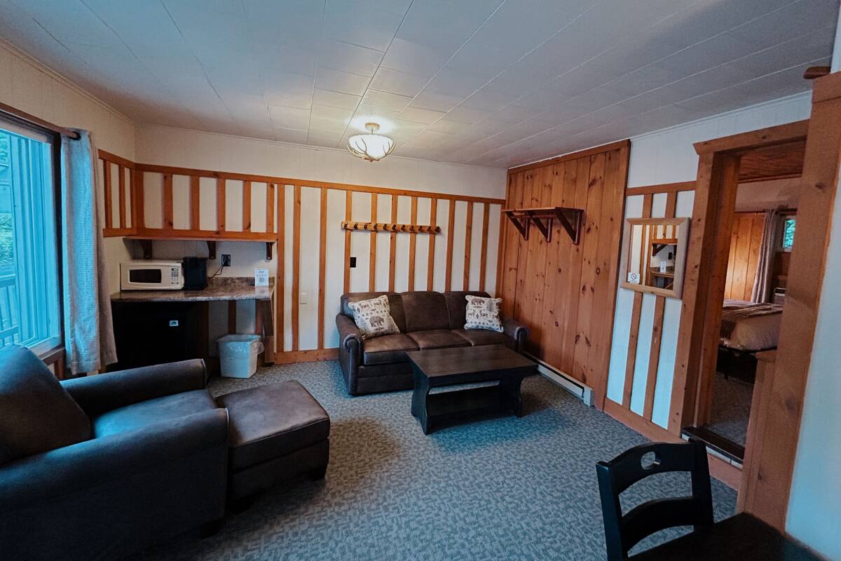A cozy living room with a sofa, a coffee table, and a television. There is a kitchen area with a microwave and a sink.
