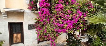Garden Oasis Apart