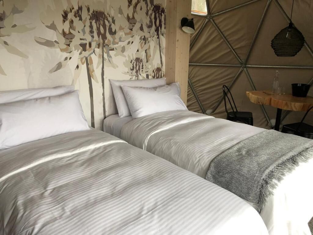 A room with two beds, a wooden table, and a wall with a geometric pattern.