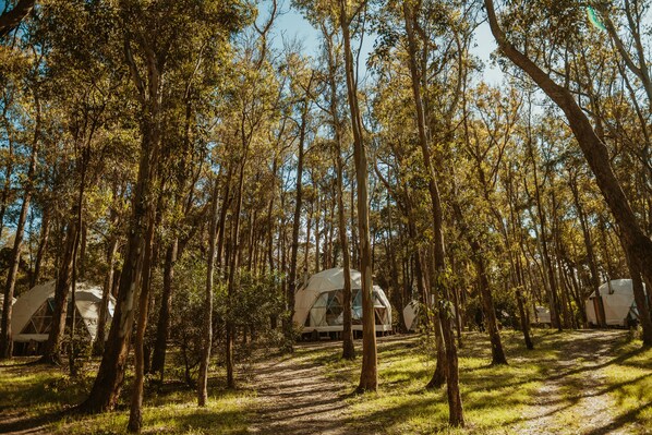 Exterior - Big Bang Nature Stays (Sauce de Portezuelo)