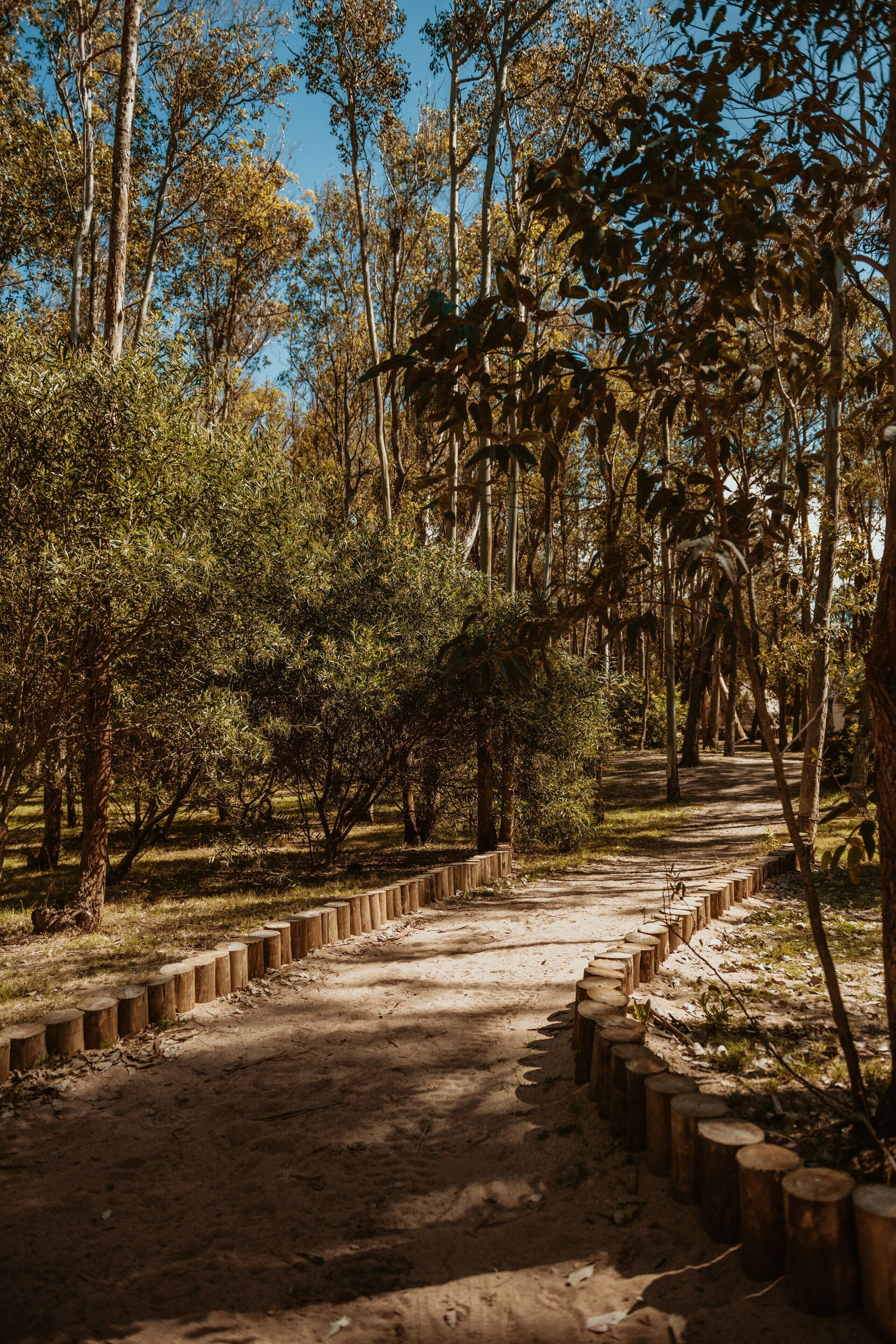 Un sentier de terre, bordé de poteaux en bois et entouré d’arbres.