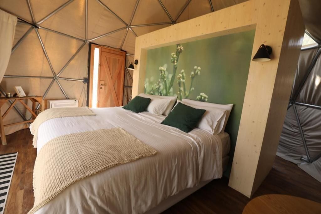 Camera doppia | Biancheria da letto di alta qualità, copriletto in piuma