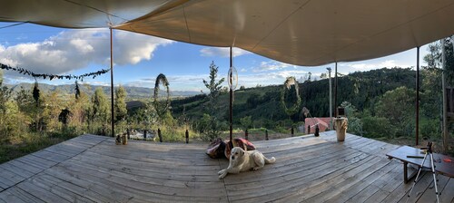 Cabin “Eucalipto” at blueberry farm