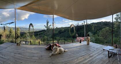 Cabin “Eucalipto” at blueberry farm