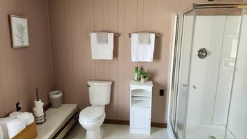 Een haardroger, handdoeken, zeep, toiletpapier
